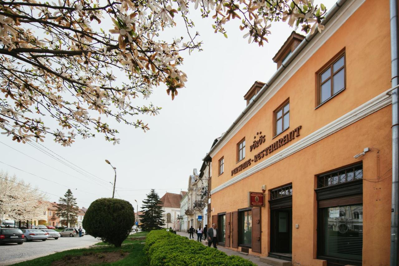 Voeroes Guest House Тыргу-Секуеск Экстерьер фото
