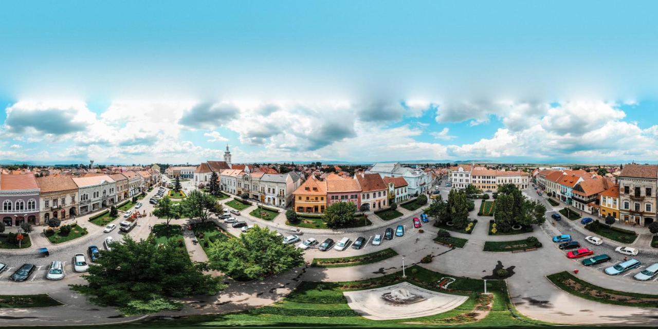 Voeroes Guest House Тыргу-Секуеск Экстерьер фото