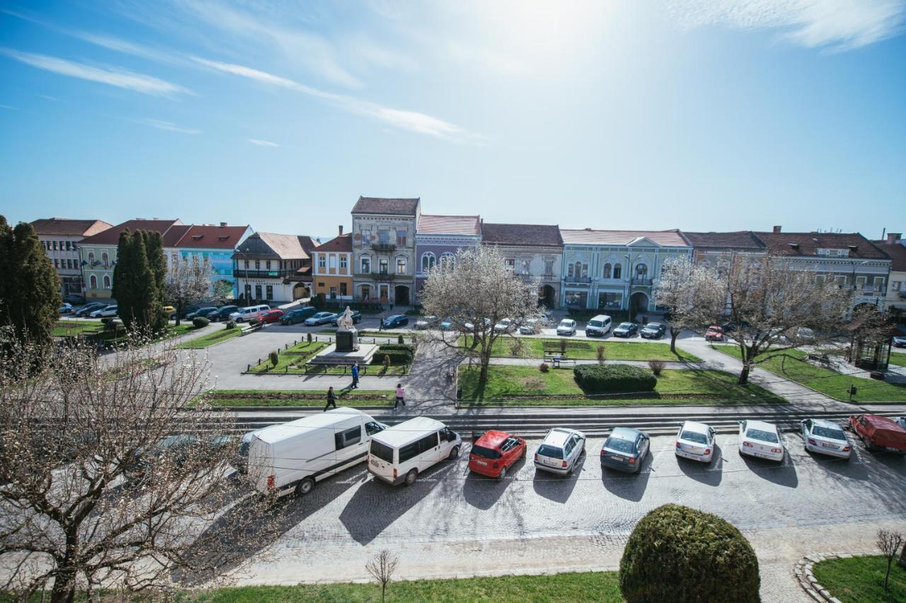 Voeroes Guest House Тыргу-Секуеск Экстерьер фото