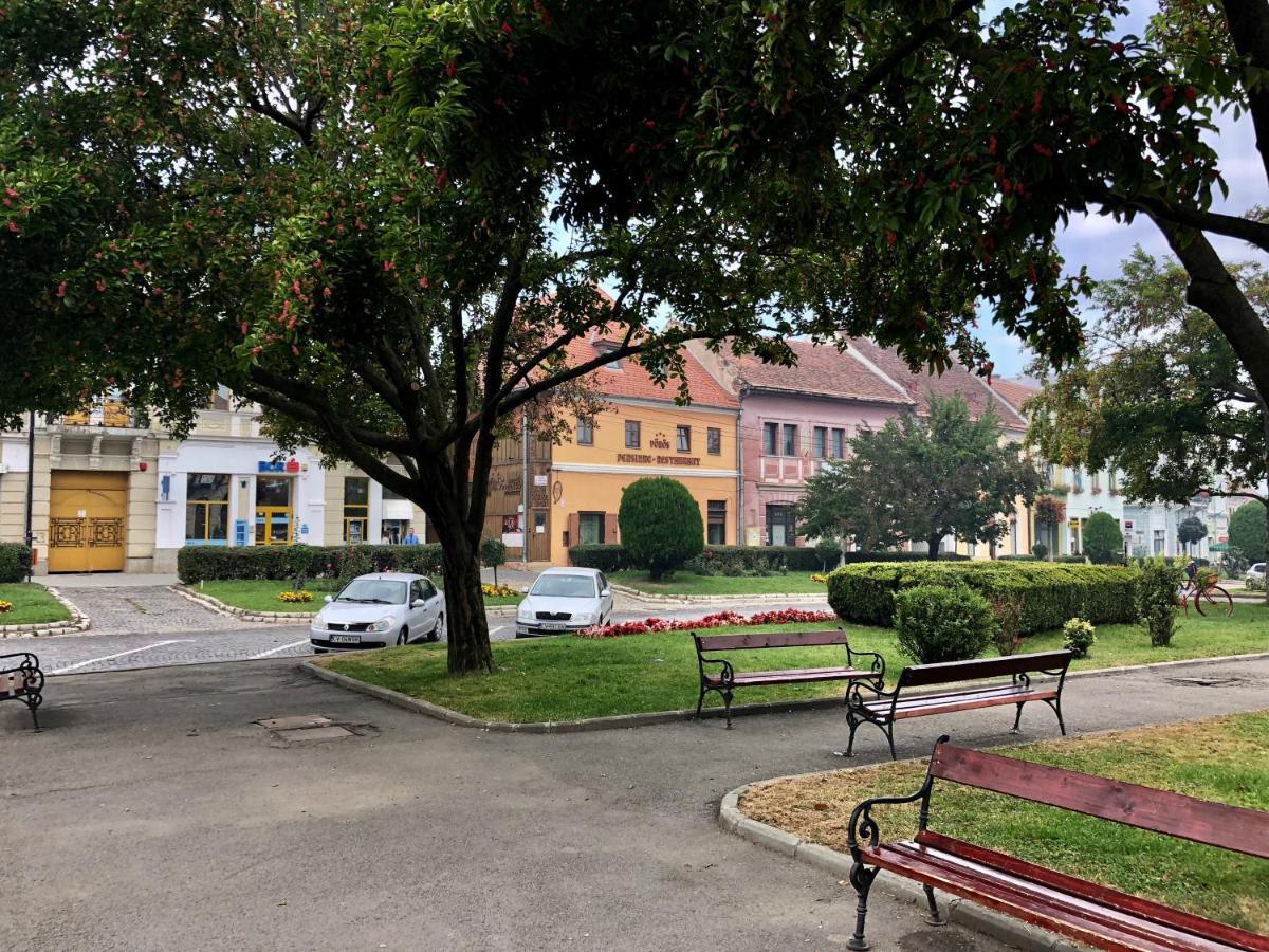 Voeroes Guest House Тыргу-Секуеск Экстерьер фото