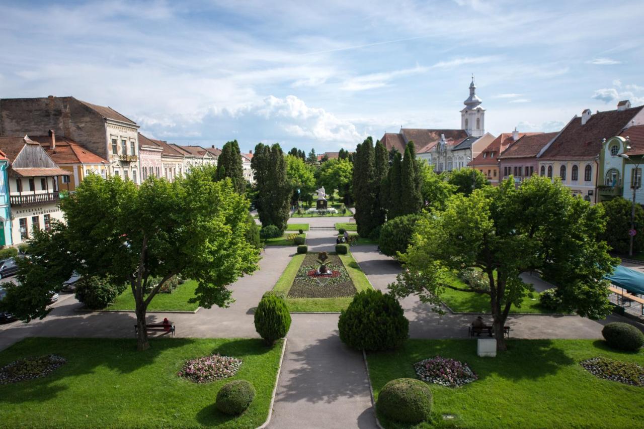 Voeroes Guest House Тыргу-Секуеск Экстерьер фото