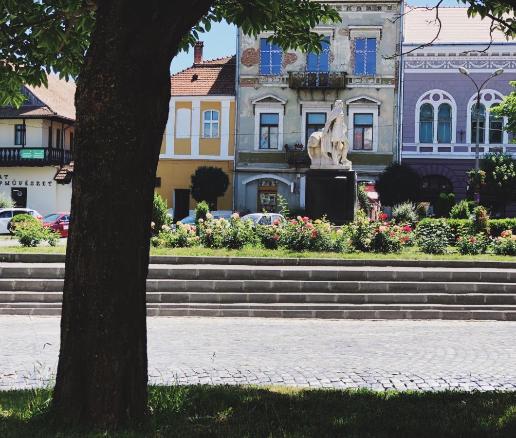 Voeroes Guest House Тыргу-Секуеск Экстерьер фото