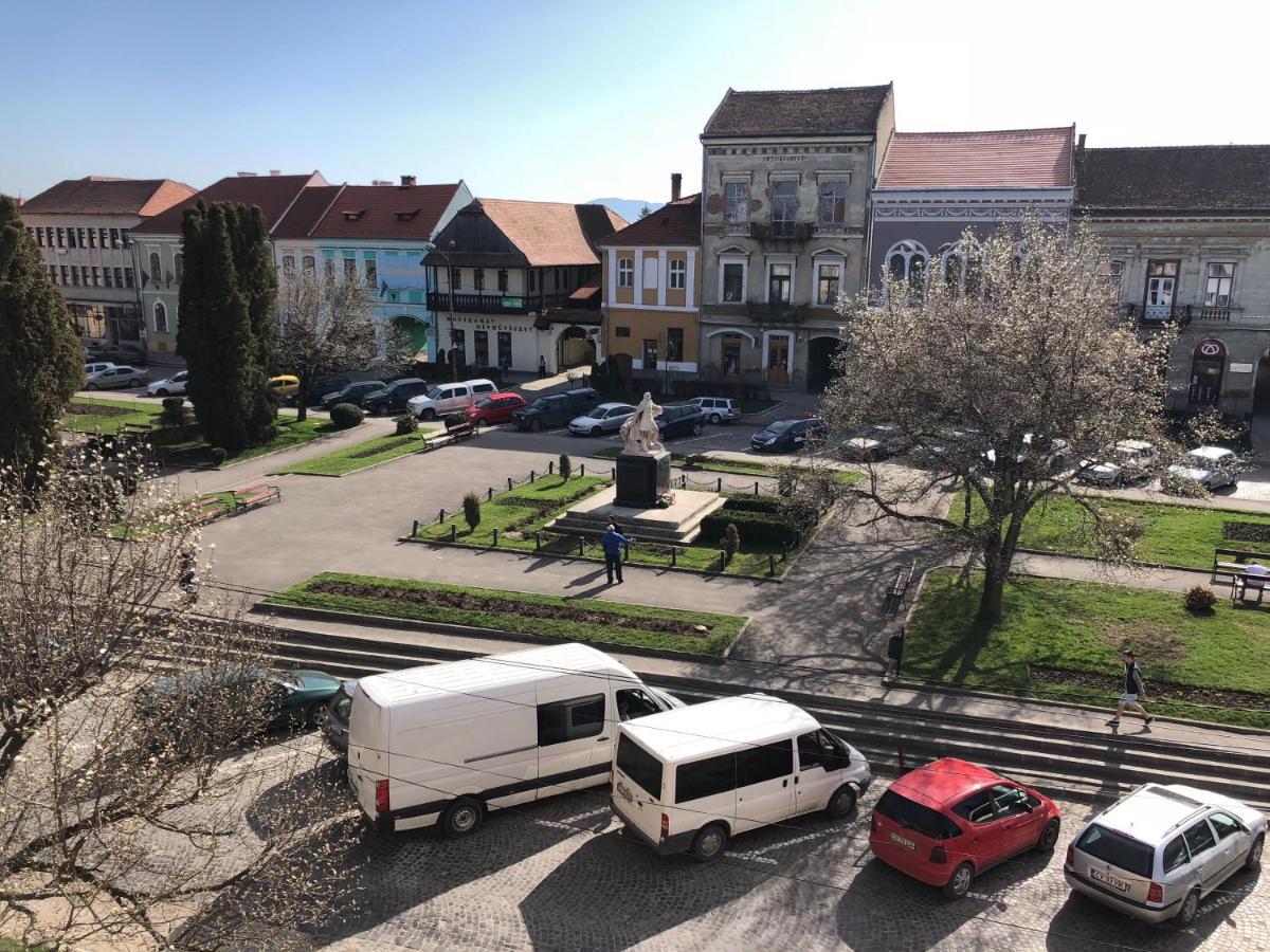 Voeroes Guest House Тыргу-Секуеск Экстерьер фото