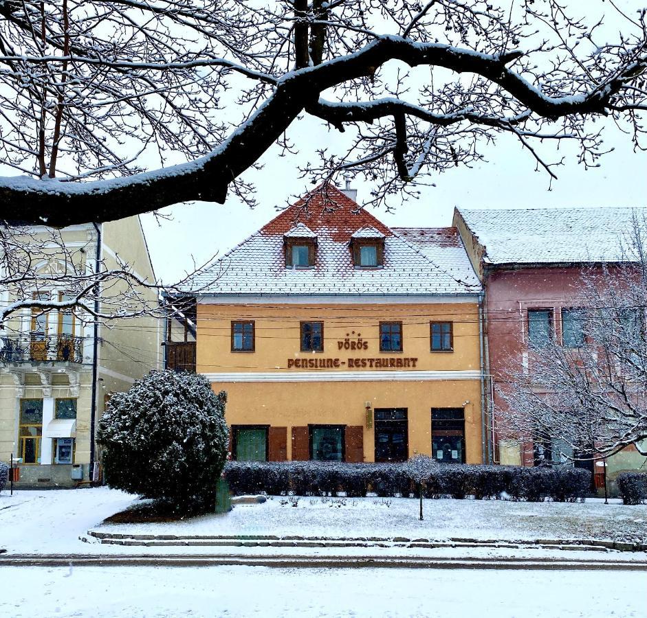 Voeroes Guest House Тыргу-Секуеск Экстерьер фото