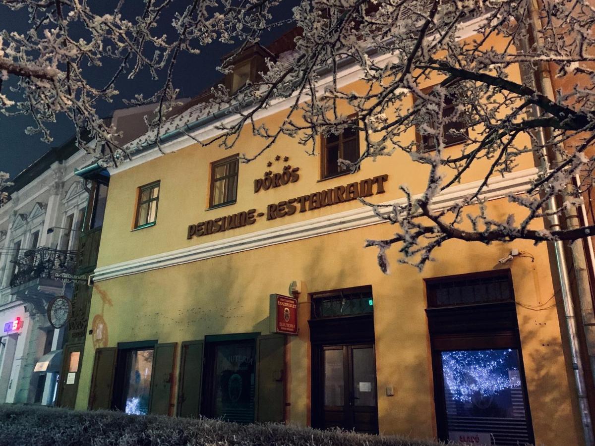 Voeroes Guest House Тыргу-Секуеск Экстерьер фото